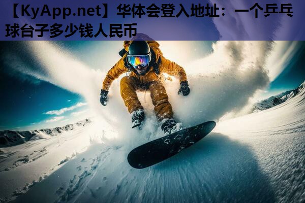 一个乒乓球台子多少钱人民币